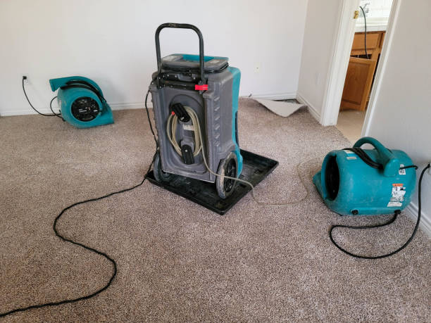Best Basement water damage restoration  in Fayetteville, PA