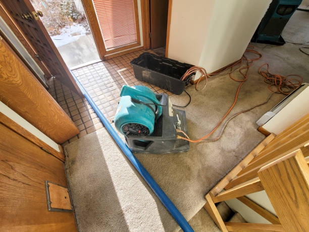Best 24-hour water damage restoration  in Fayetteville, PA