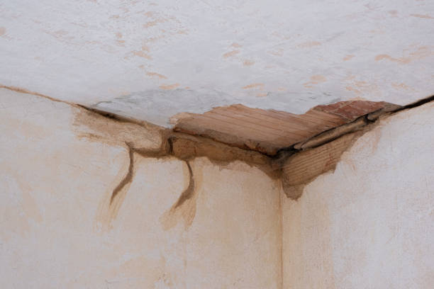 Best Flood damage cleanup  in Fayetteville, PA