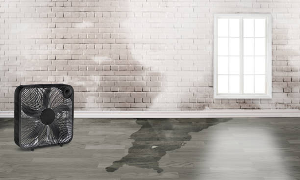 Best Flood damage cleanup  in Fayetteville, PA