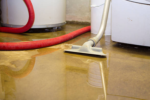Best Mold removal after water damage  in Fayetteville, PA