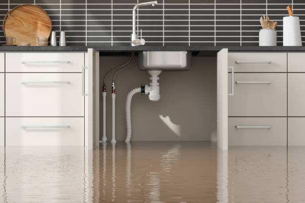 Best Local water damage restoration  in Fayetteville, PA