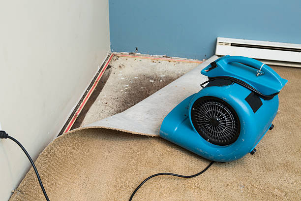  Fayetteville, PA Water damage restoration Pros
